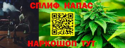 сатива Бийск