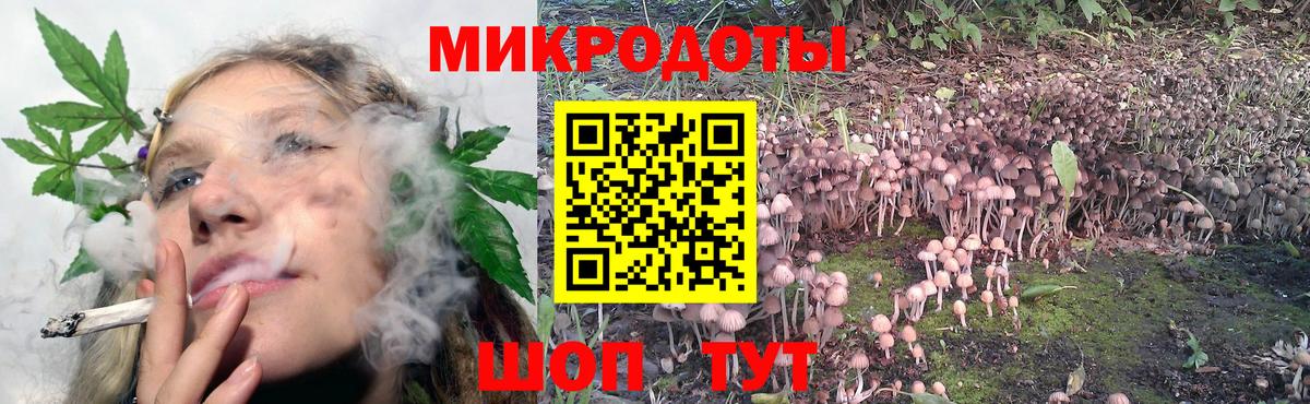 Псилоцибиновые грибы ЛСД  Вход с VPN  Заводоуковск  Псилоцибиновые грибы Cubensis 