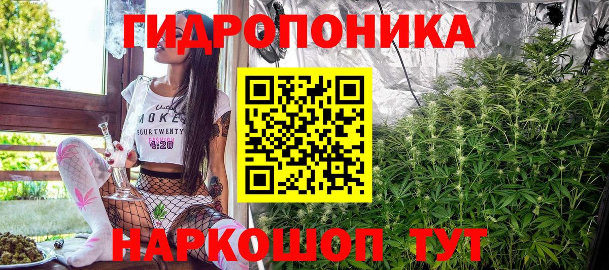 МАРИХУАНА сатива  Вход с VPN  Заводоуковск  Конопля тримм  МАРИХУАНА марихуана 